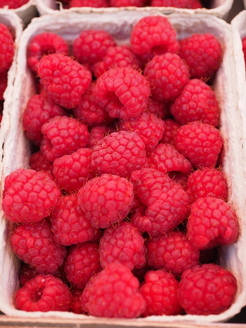 Ethical and Sustainable Farming